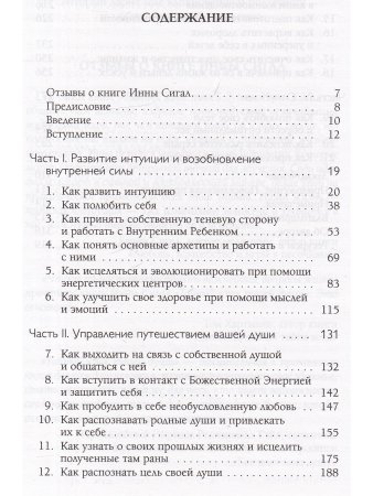Тайный язык твоей души. Путь решения важнейших жизненных проблем
