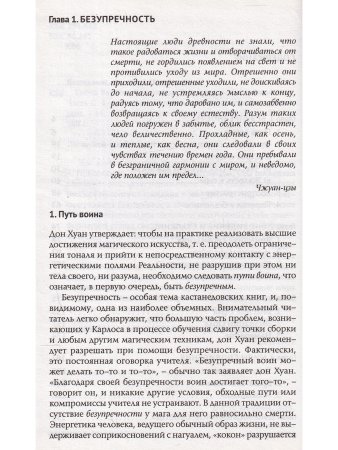 Тайна Карлоса Кастанеды. Безупречность и сновидение. Часть 2