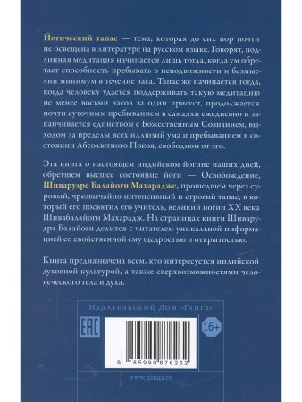 Милость Учителя. Рассказ о пройденном йогическом тапасе