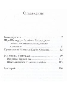 Милость Учителя. Рассказ о пройденном йогическом тапасе