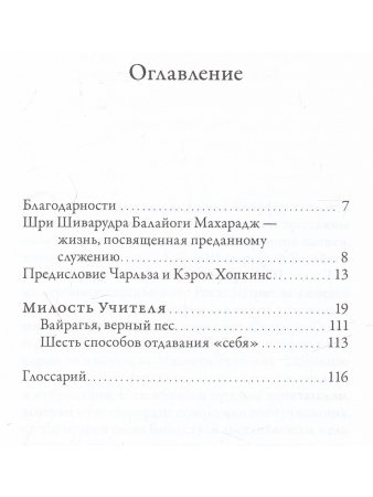 Милость Учителя. Рассказ о пройденном йогическом тапасе