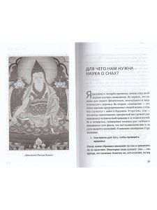Йога сна. Анализ сновидений в тибетской медицине. Книга 1: Открытие себя 2-е изд.