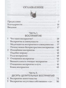 Медитация на восприятии. Десять исцеляющих практик для развития внимательности