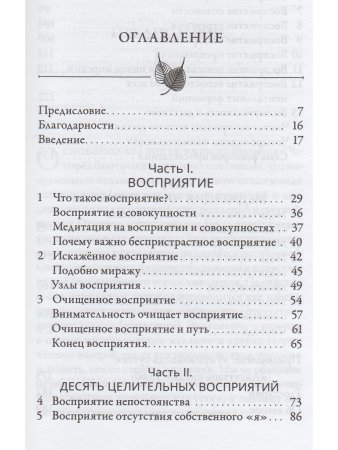 Медитация на восприятии. Десять исцеляющих практик для развития внимательности
