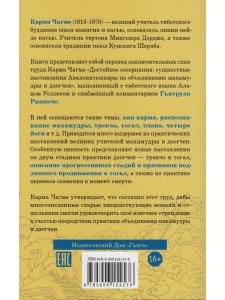 Обнаженное осознавание. Практические наставления по объединению махамудры и дзогчен