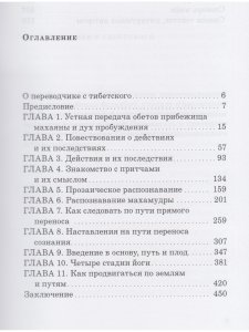 Обнаженное осознавание. Практические наставления по объединению махамудры и дзогчен