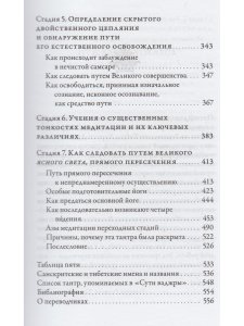 Суть ваджры т.3 Провидческие откровения Великого совершенства Дуджома Лингпы