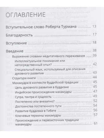 Указывая великий путь. Махамудра: этапы медитации