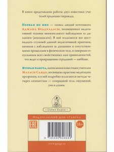 Медитация прозрения