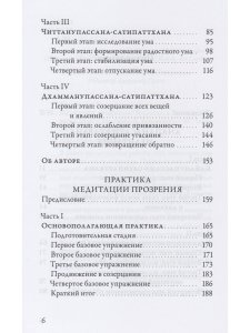 Медитация прозрения