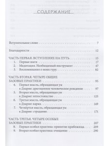 Превращая заблуждение в ясность. Руководство по основополагающим практикам тиб. буддизма 2-е изд.