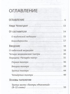Тибетская медицина. Основы исцеления