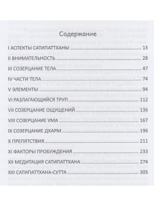Перспективы Сатипаттханы