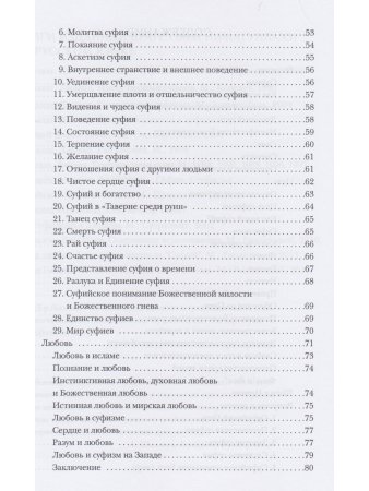 Путь. Духовная практика суфизма