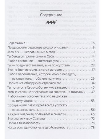 Есть Я – Я Есть. Беседы