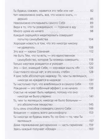 Есть Я – Я Есть. Беседы