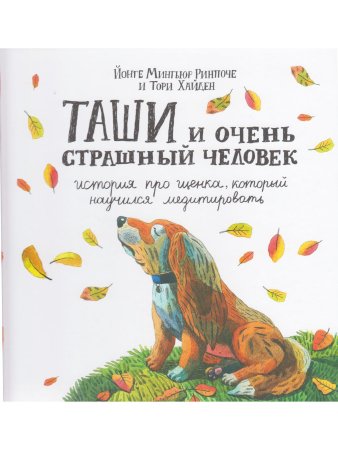 Таши и Очень Страшный Человек. История про щенка, который научился медитировать с цв. ил..