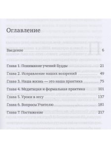 Тихая лесная заводь. Медитация прозрения от Аджана Чаа