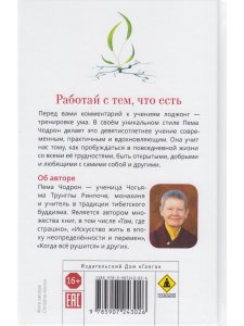 Работай с тем, что есть. Руководство по сострадательной жизни