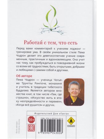 Работай с тем, что есть. Руководство по сострадательной жизни