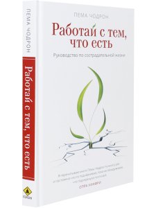 Работай с тем, что есть. Руководство по сострадательной жизни