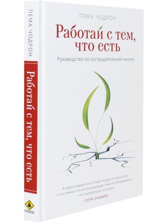 Работай с тем, что есть. Руководство по сострадательной жизни