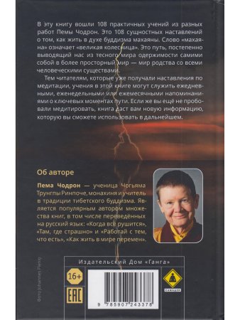 Спокойствие в неопределённости. 108 учений о развитии бесстрашия и сострадания
