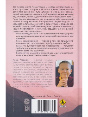 Как медитировать. Подружитесь со своим умом. Практическое руководство