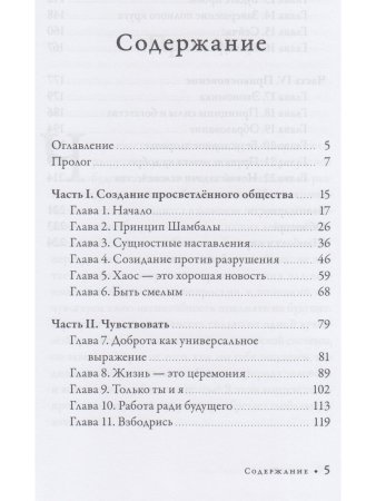 Принцип Шамбалы. Обнаружение скрытого сокровища человечества