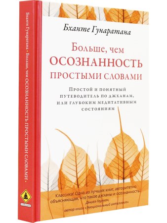Больше, чем осознанность простыми словами. Простой и понятный путеводитель по джханам