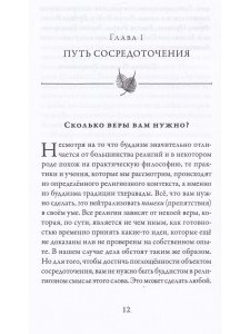 Больше, чем осознанность простыми словами. Простой и понятный путеводитель по джханам