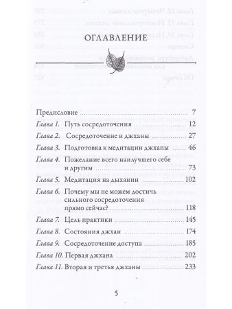 Больше, чем осознанность простыми словами. Простой и понятный путеводитель по джханам
