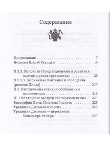 Горная дхарма. Океан определенного смысла. Особое и окончательное сущеностное наставление. Часть III