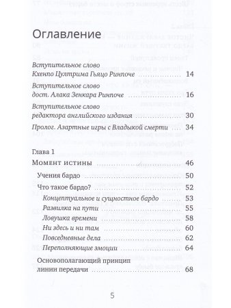 Ум за пределами смерти