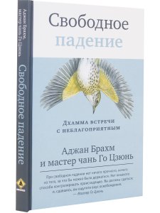 Свободное падение. Дхамма встречи с неблагоприятным
