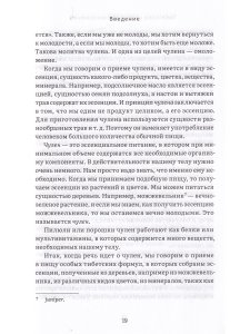 Тибетское искусство омоложения