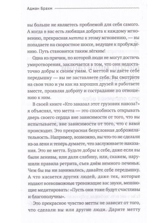 Осознанность и плюшевый мишка. Вопросы и ответы по укрощению твоего дикого ума