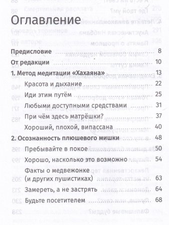 Осознанность и плюшевый мишка. Вопросы и ответы по укрощению твоего дикого ума