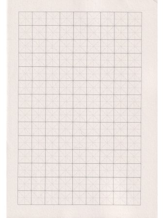 Прописи для китайских иероглифов. 185х260. (Крупная клетка)
