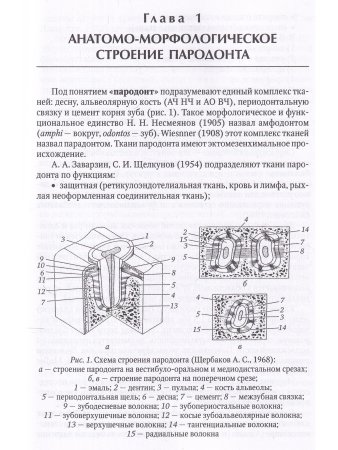 Диагностика пародонтита