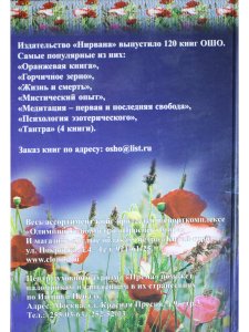 Не-ум и цветы вечности. Коммунизм и дзен