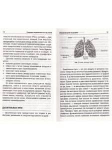 Классики оздоровительного дыхания