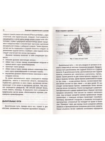 Классики оздоровительного дыхания