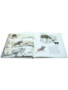 Сяо Хань Маленький лось.Перевод с китайского.