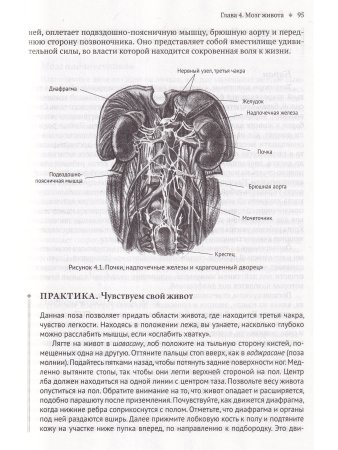 Йога тонкого тела