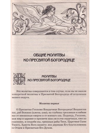 Молитвенный Щит Пресвятой Богородицы