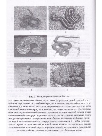 Драматические состояния в клинической практике врача