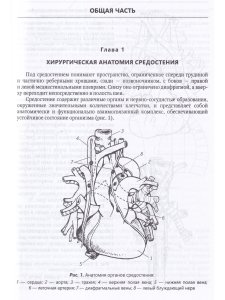 Хирургия средостения.Руководство для врачей