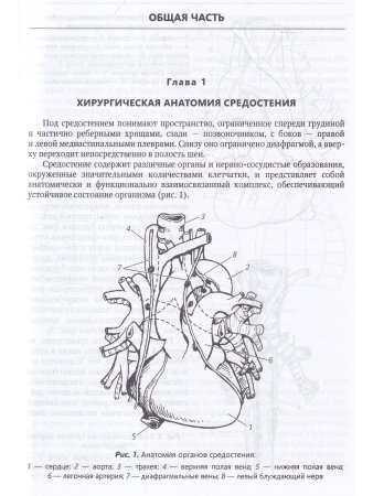 Хирургия средостения.Руководство для врачей
