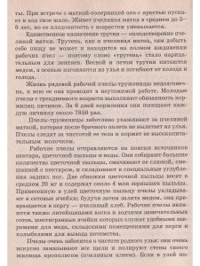 Дары медоносной пчелы